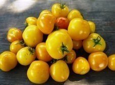 Перцовые желтые помидоры