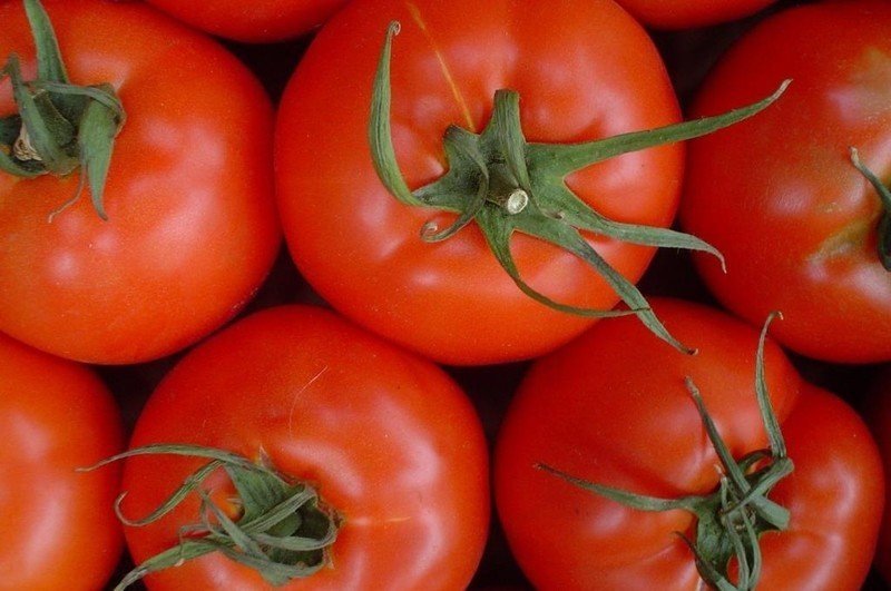 Томаты помидоры турбореактивные