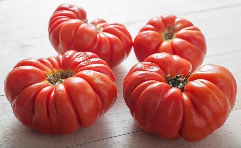 Сорта томатов итальянские ребристые