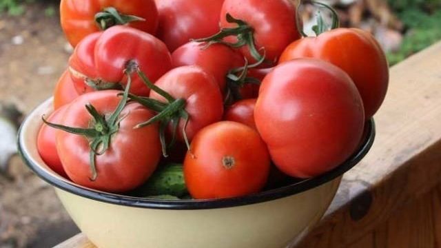 Самые урожайные сорта томатов для теплиц: критерии выбора и способы увеличения урожая