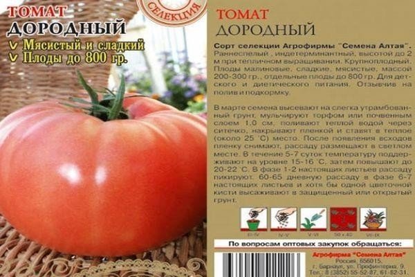 Сорт томата дородный
