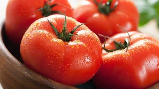 Урожайные и неприхотливые: лучшие раннеспелые сорта томатов для открытого грунта